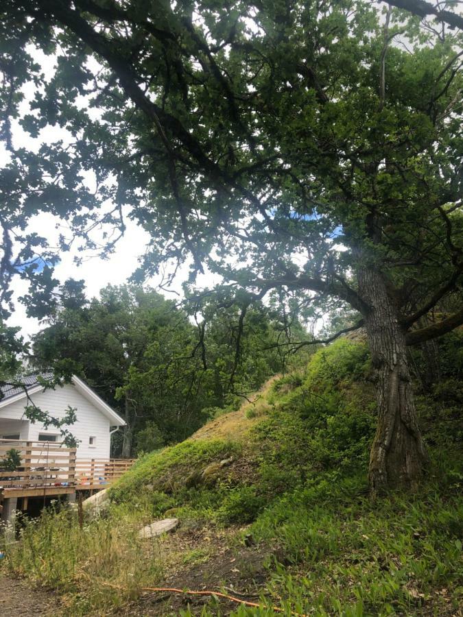 Lomamokki 25 Km Turusta Hotel Masku Kültér fotó